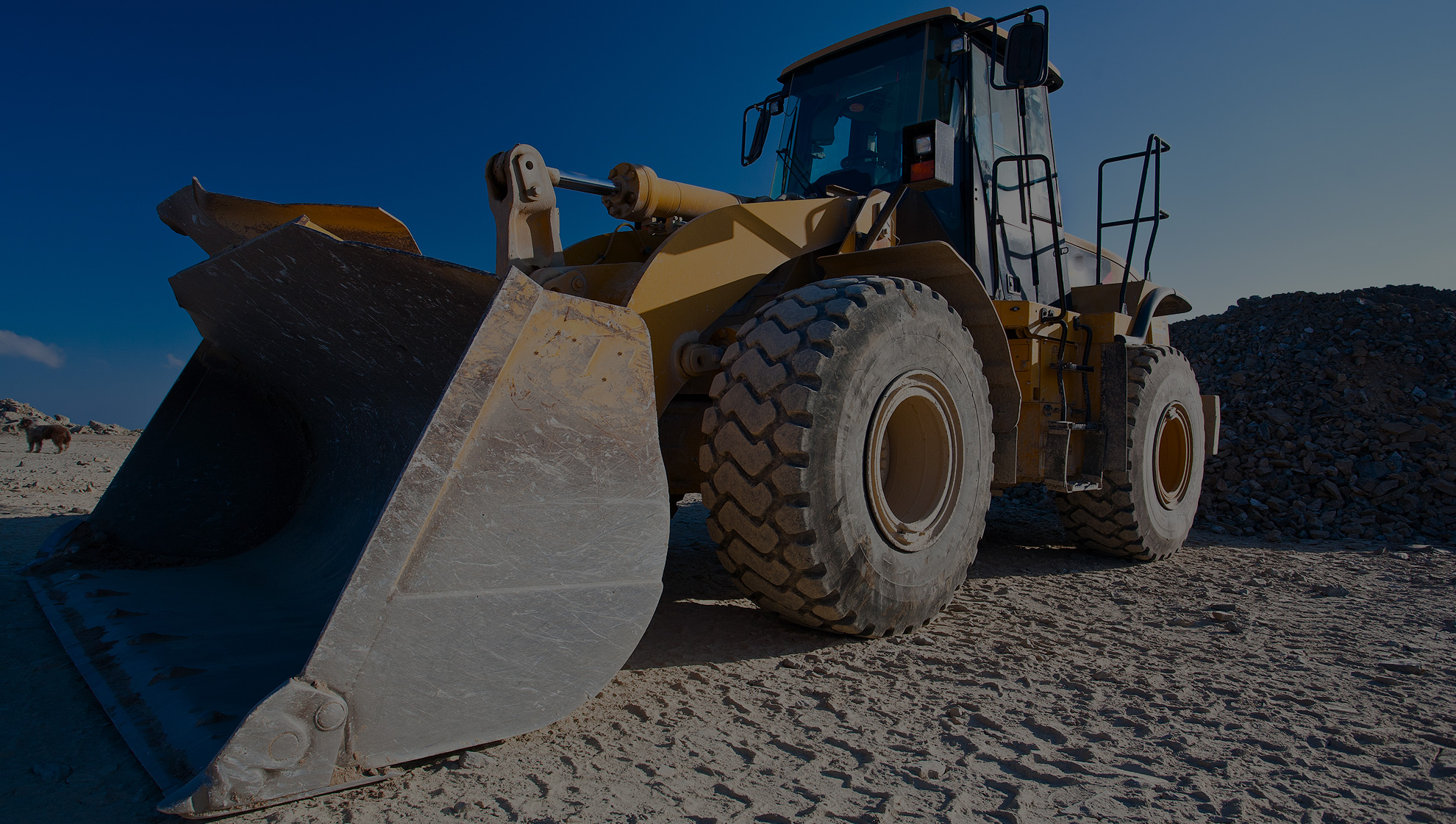 Company’s stock yard